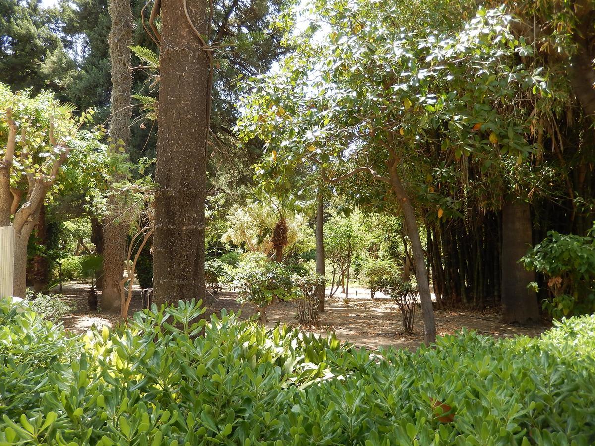 Aloe Apartments Rethymno  Luaran gambar