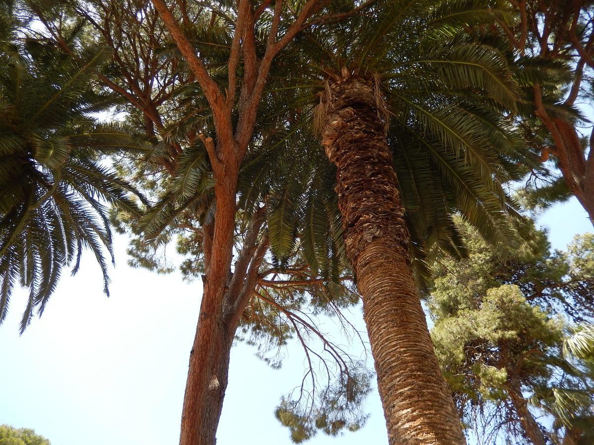 Aloe Apartments Rethymno  Luaran gambar